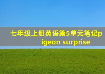 七年级上册英语第5单元笔记pigeon surprise